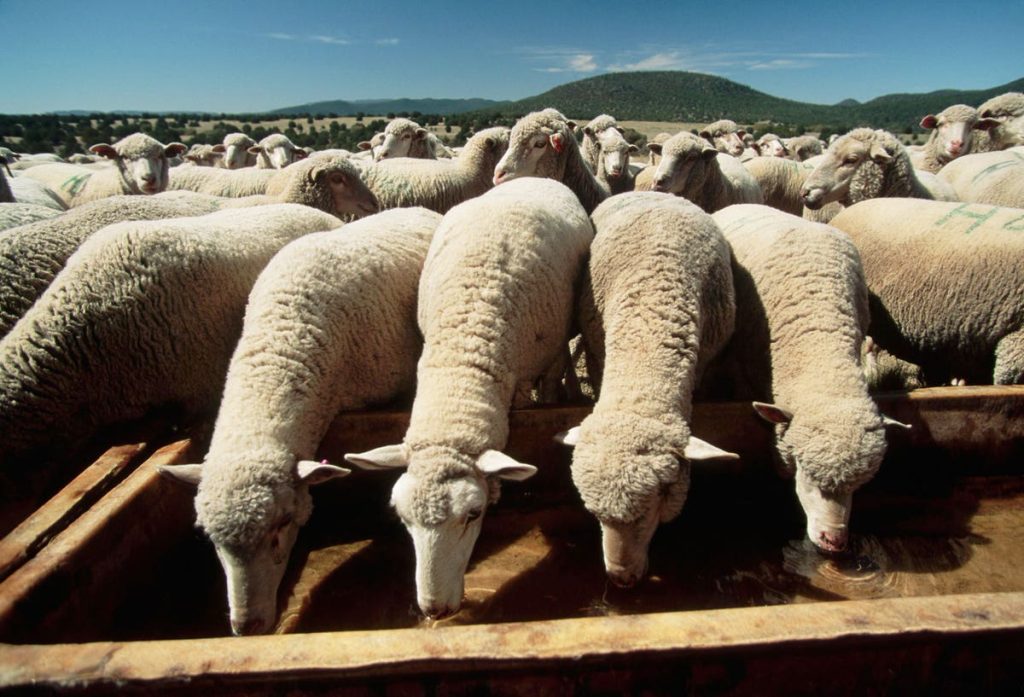 Ratings Downgrades Loom For U.S. Regional And Smaller Banks Exposed To Commercial Real Estate