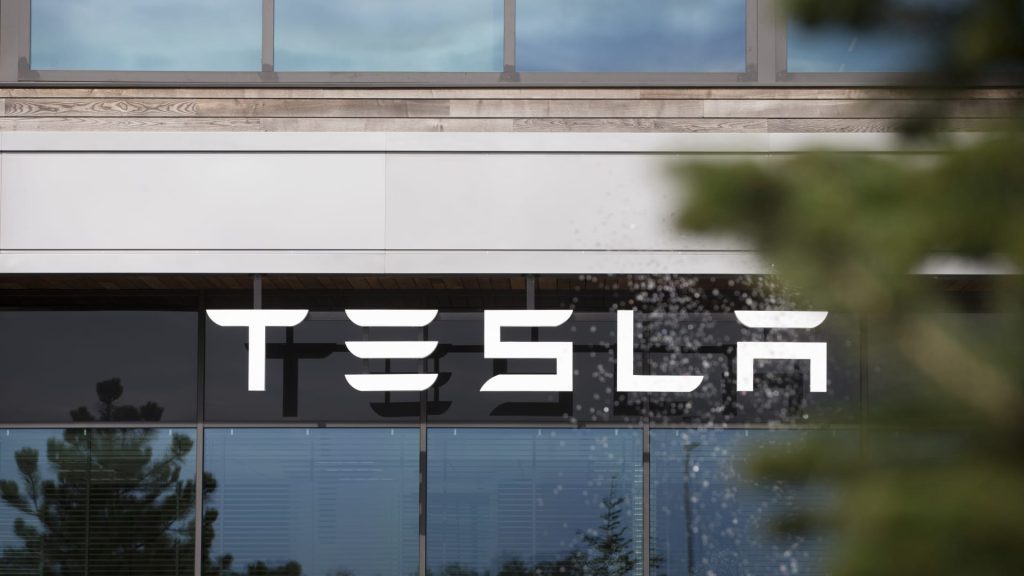 Too far, too fast: Wall Street sees Tesla and these other shares declining in the next 12 months