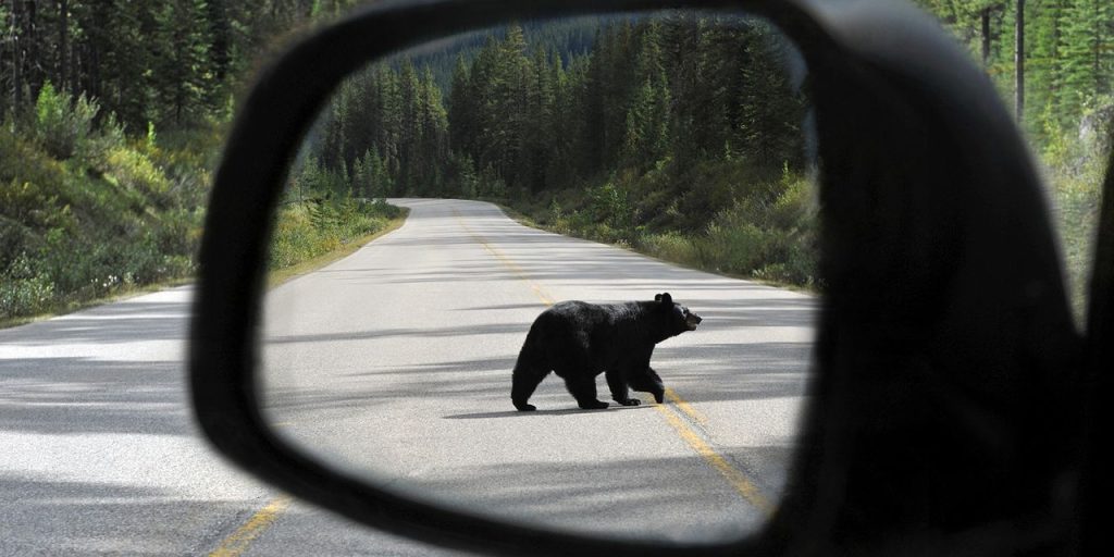 S&P 500 exits longest bear market since 1948. What stock-market history says about what happens next.