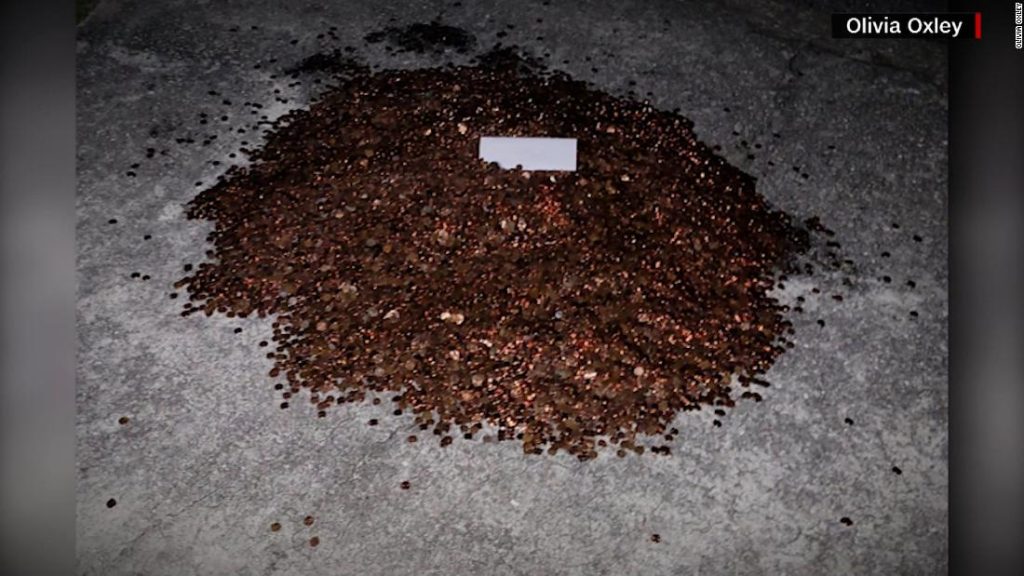 Autoshop owner who dumped 500 pounds of oily pennies on ex-employee’s driveway is ordered to pay additional back wages