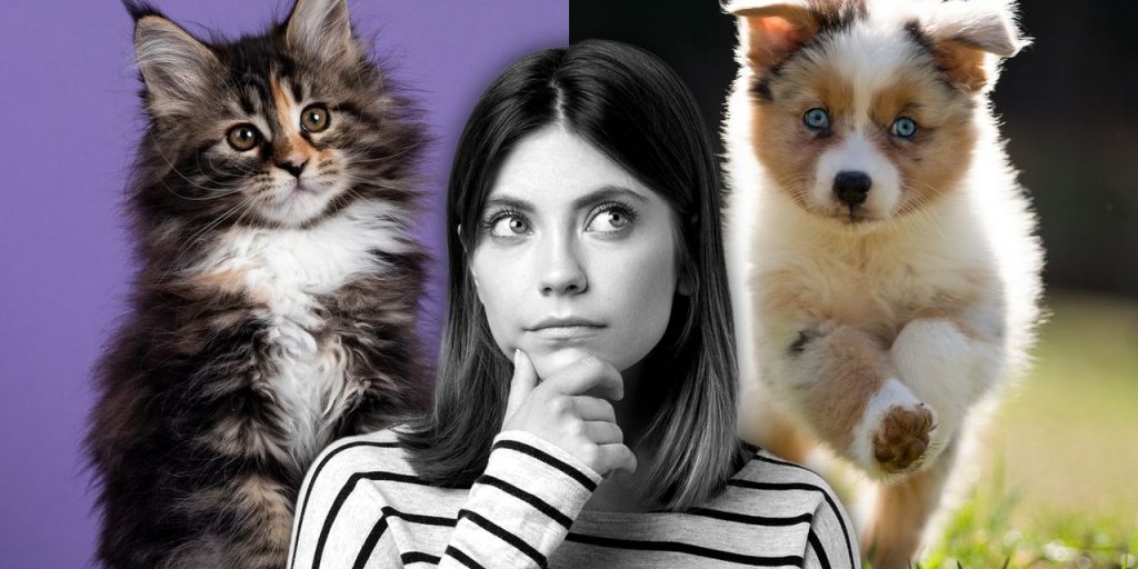 Cats vs. dogs: Which pet makes better financial sense?