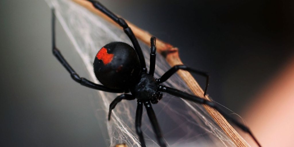 Why the S&P 500 ETF’s rare triple ‘gap ups’ isn’t a buy signal