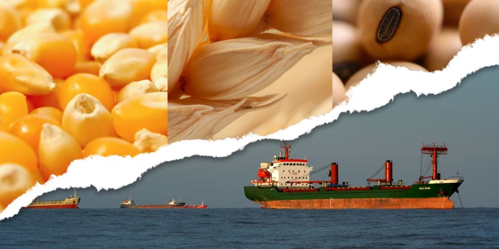Drop in grain prices may lead to stronger corn and soybean demand, tighter wheat supplies