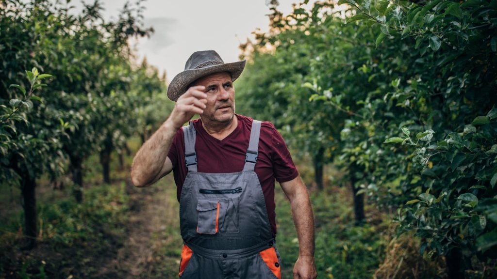 The ‘holy grail’ of longevity foods this doctor eats every day—it protects you ‘like a suit of armor’