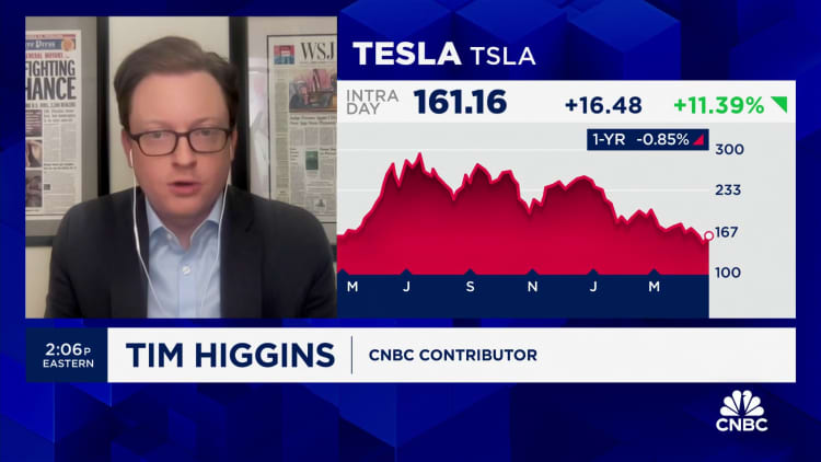 Tesla and Elon Musk fans have an optimistic outlook for company's future, says WSJ's Tim Higgins